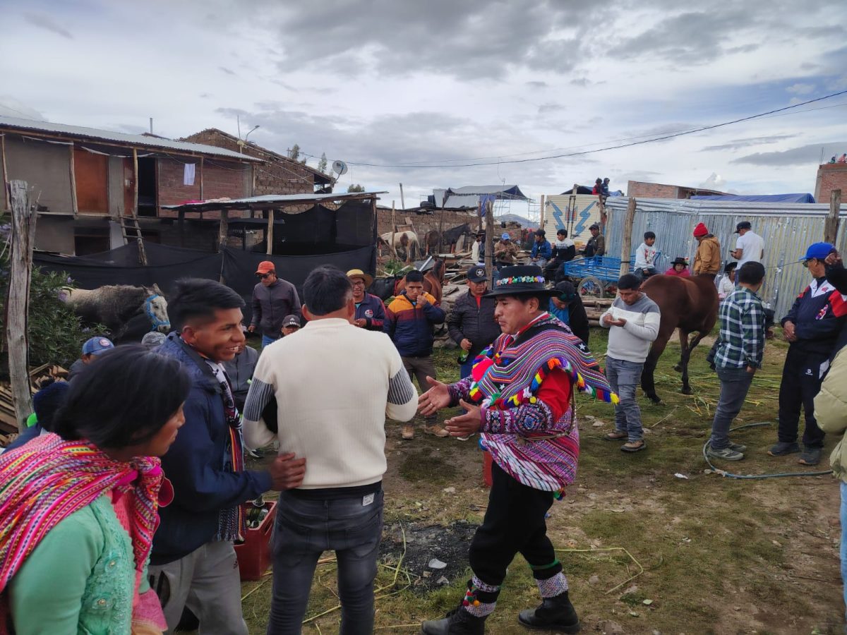 WhatsApp Image 2025-06-04 at 19.20.47 (1)